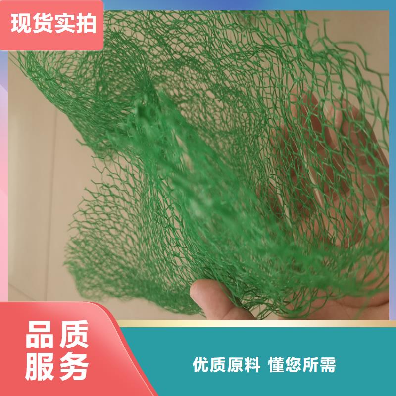 【 三维植被网_防渗膜源头采购】同城品牌