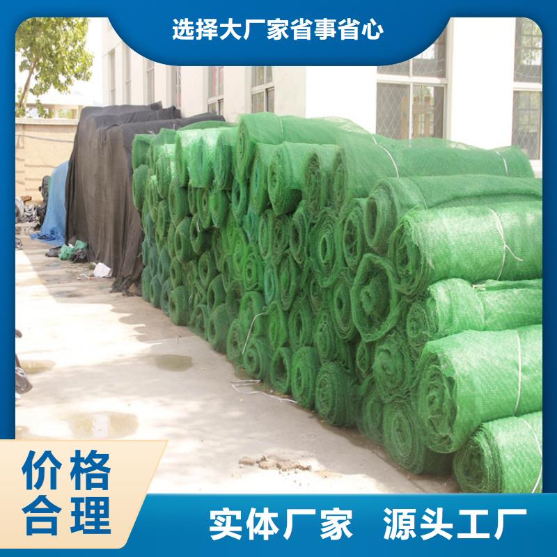 三维植被网塑料盲沟支持定制批发