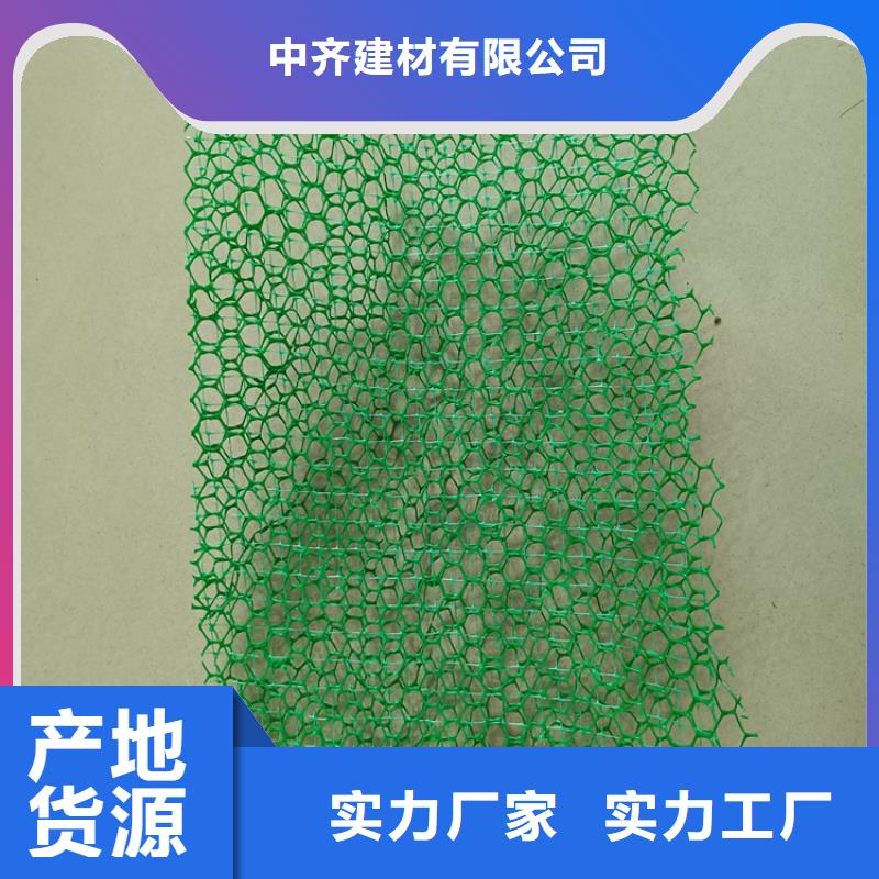 三維植被網土工網墊廠家直銷售后完善