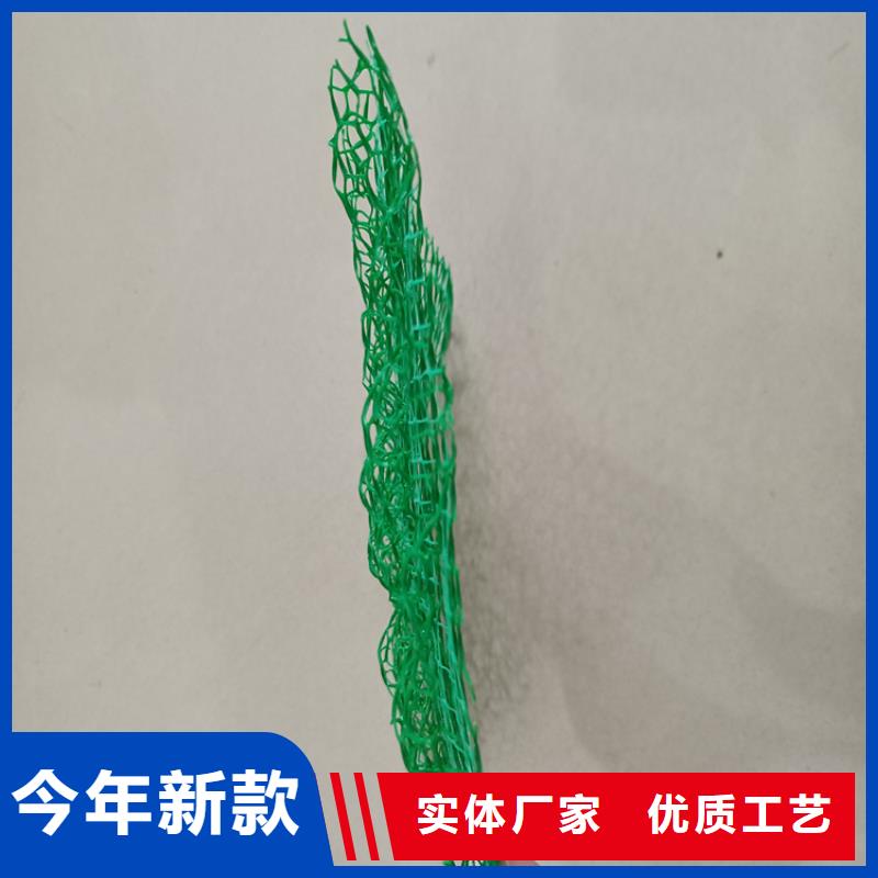三维植被网塑料盲沟支持定制批发