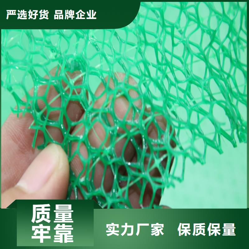 塑料边坡三维土工网垫