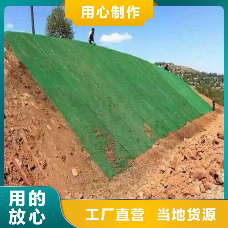 《中齐》乐东县绿化EM5三维固土网垫
