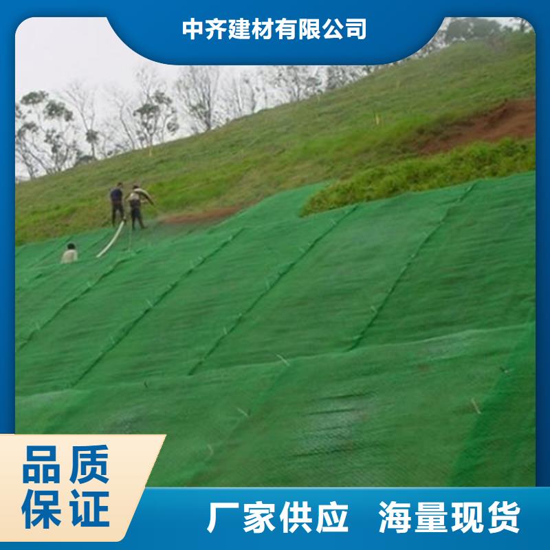 三维护坡植草网垫代理市场
