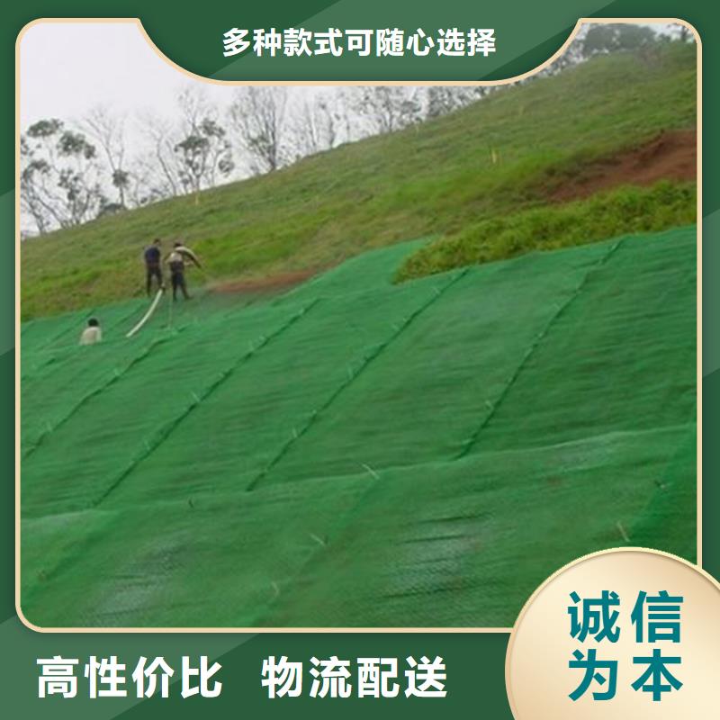 三维护坡植草网垫施工案例