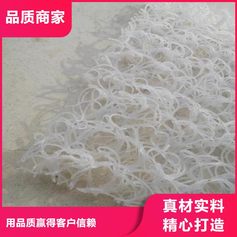 土工席墊塑料土工格柵支持非標定制