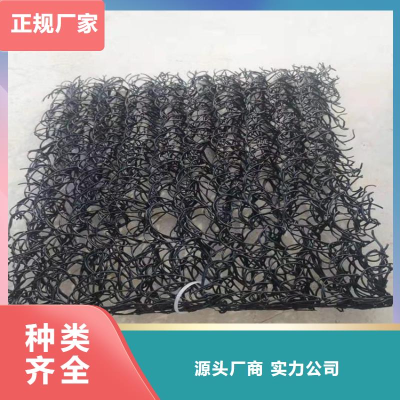 制造商【 土工席垫矿用阻燃网当日价格】