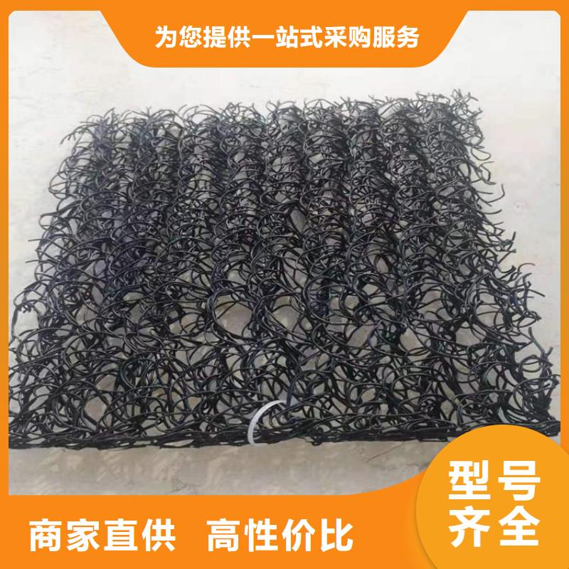 相山|濉溪|合肥|宿州|黄山|六安|芜湖|池州【土工席垫】 塑料盲沟匠心工艺-企业旺旺