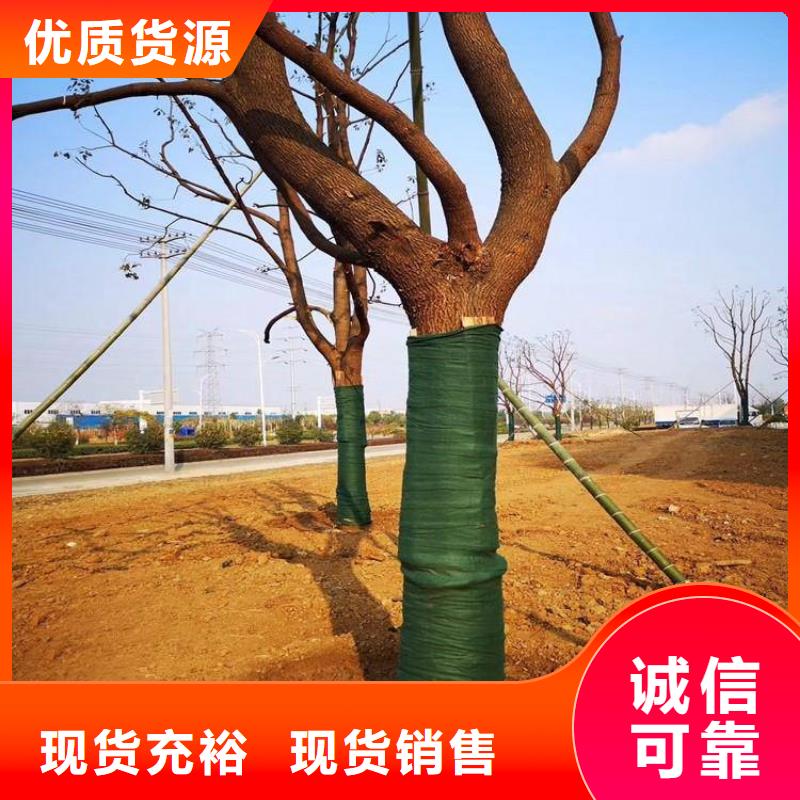 【裹树布_土工格栅精工制作】