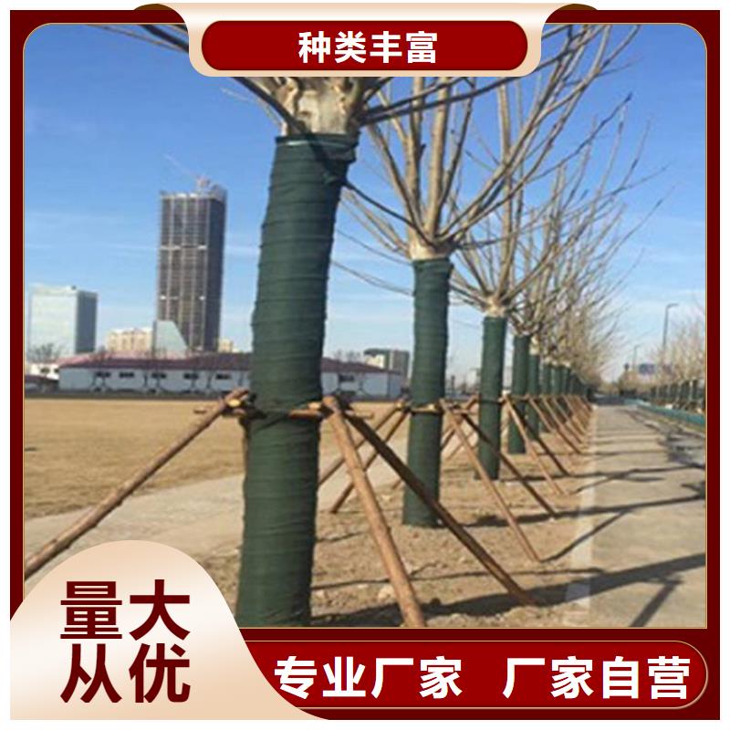 【 裹树布,排水管品质信得过】-可发货到长葛|禹州|漯河|安阳|南阳|焦作|郑州|平顶山