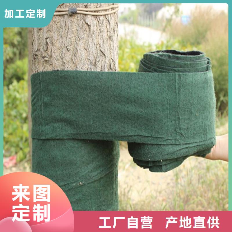 裹树布【土工膜】工期短发货快