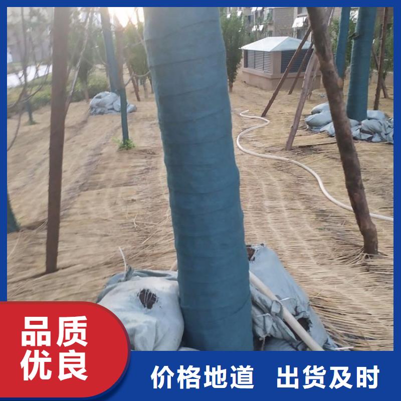 裹樹布防水板實拍展現