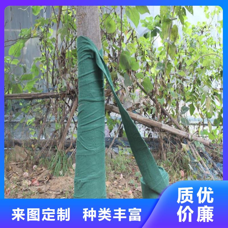 裹树布防水板正规厂家