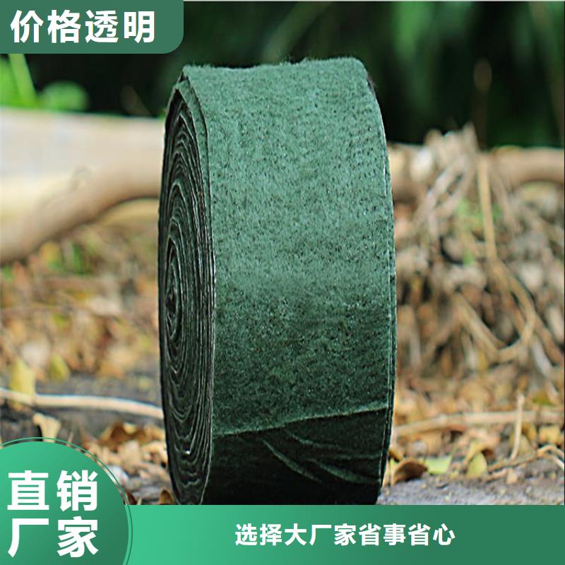裹樹布防水板正規(guī)廠家