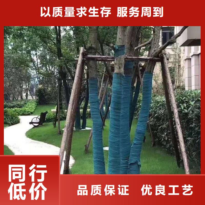 裹树布防水板正规厂家