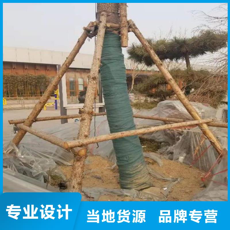 【裹树布,【土工布】多行业适用】-北京产品细节参数《中齐》