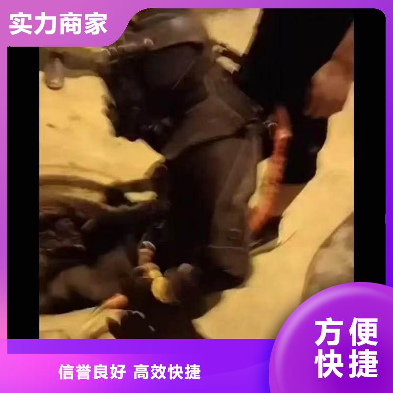 污水厂水下维保厂家价格18O