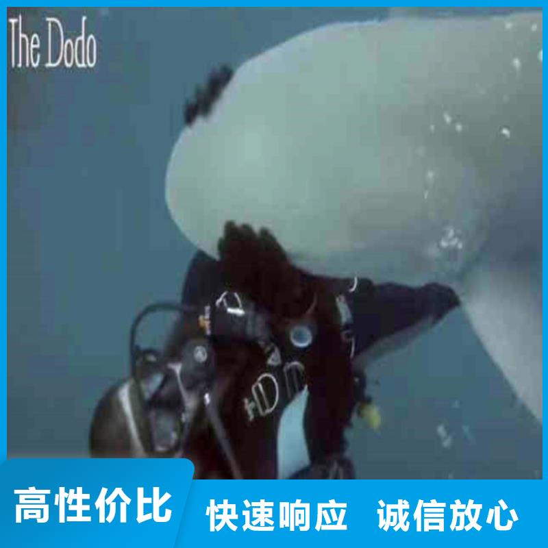 芜湖咨询水下录像，污水厂水下打捞+持证上岗蛙人