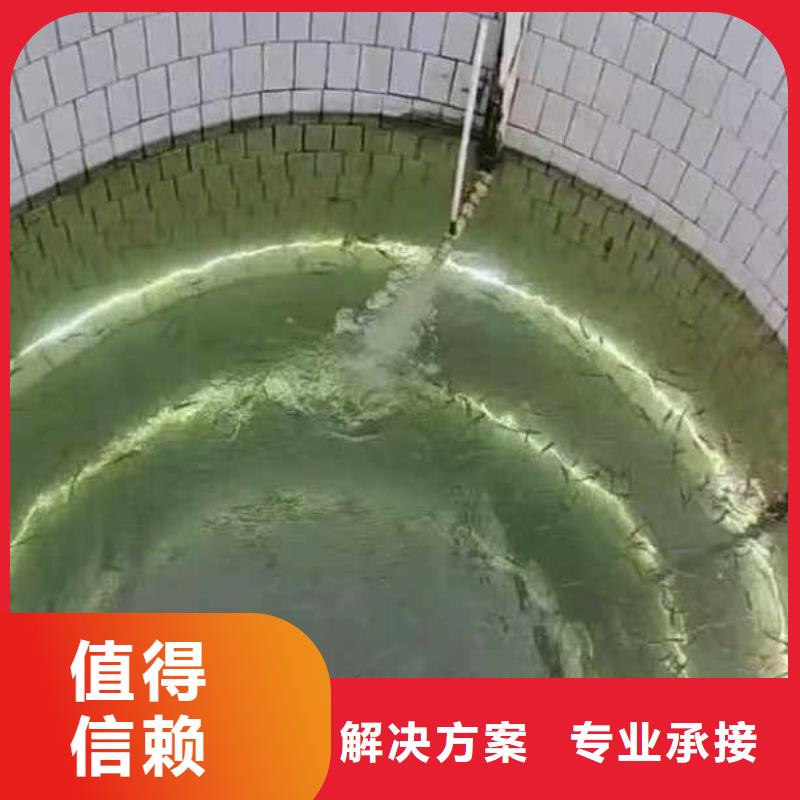 蛙人服務(wù)公司一承接一水下作業(yè)