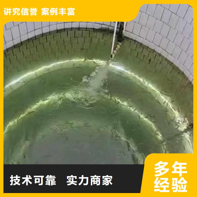 水下施工,模袋水下施工一站式服务