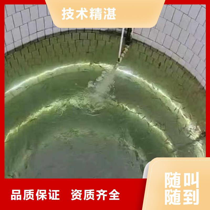 水下施工水下清淤行业口碑好