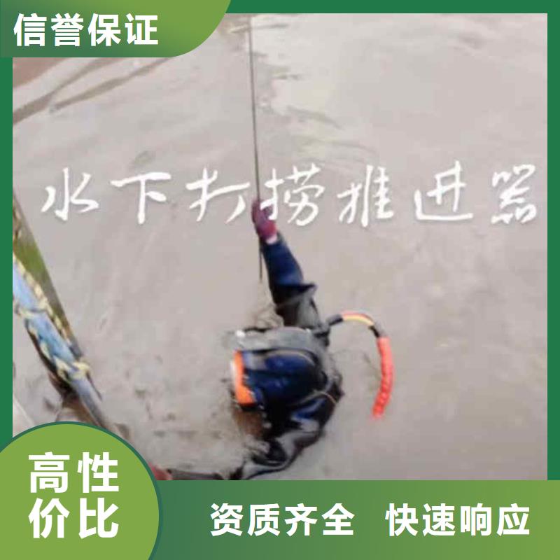 【潜水员服务】水下摄影解决方案 浪淘潜水发展(成都市分公司)