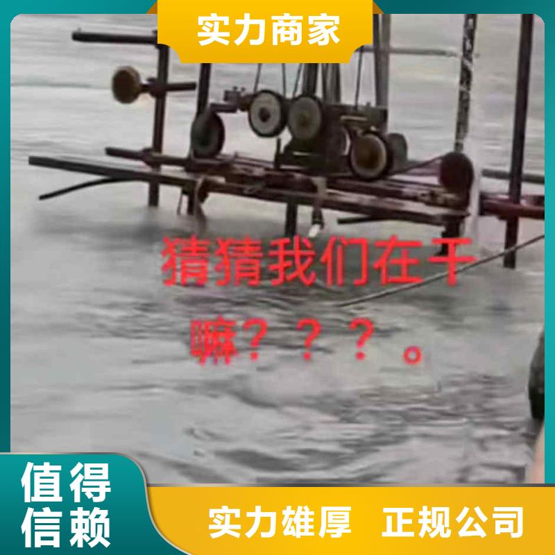 潜水员服务-污水管封堵施工专业承接