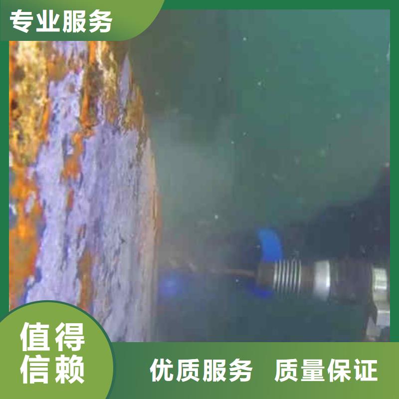 【潜水员服务】水下摄影解决方案 浪淘潜水发展(成都市分公司)