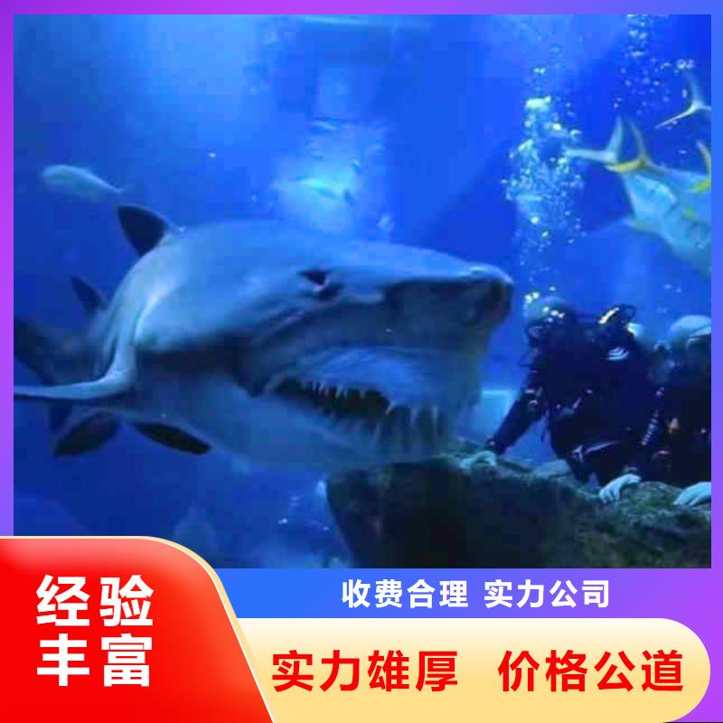 潜水员服务 污水管道清淤一站搞定