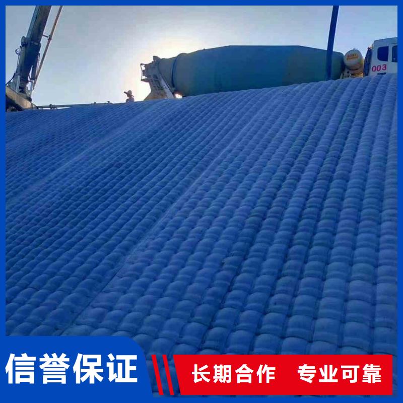 潜水员服务水下桥墩加固