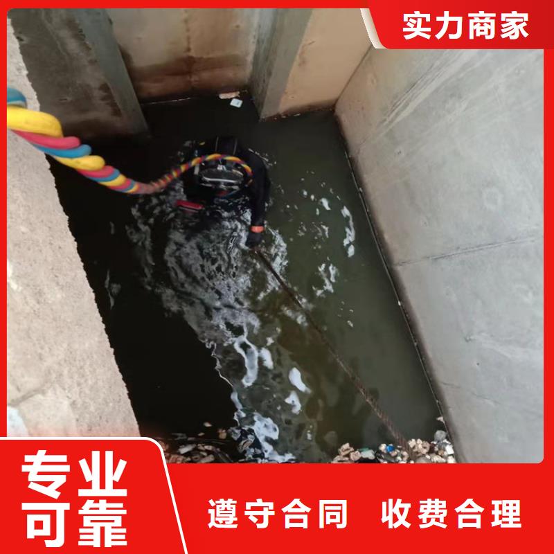 电站水下维修商家