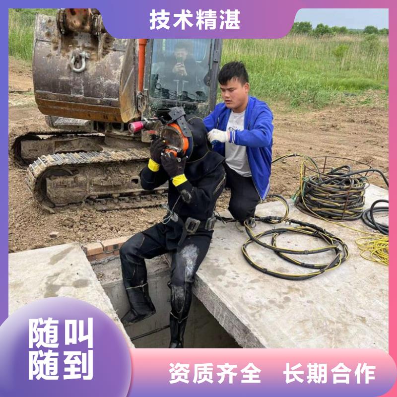【水下维修堤防工程施工专业服务】