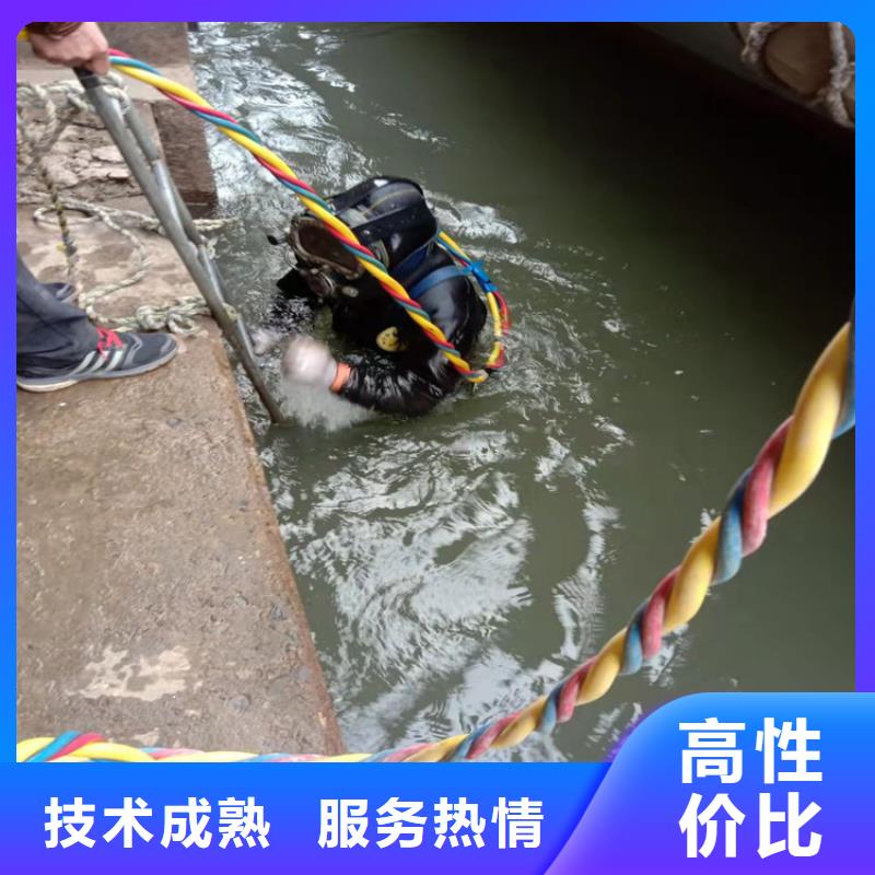 【水下维修堤防工程施工专业服务】