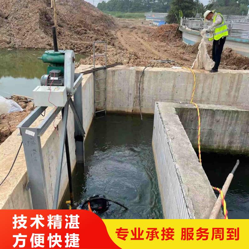 水下维修_【水下清污工程】行业口碑好-东泓潜水工程公司(林芝市分公司)|覆盖地域波密|朗县|阿里|山南|日喀则|昌都|那曲|拉萨