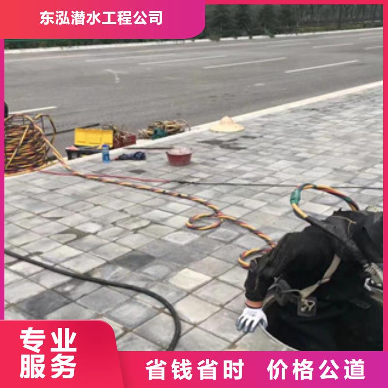 發貨及時的蛙人污水廠更換曝氣盤批發商