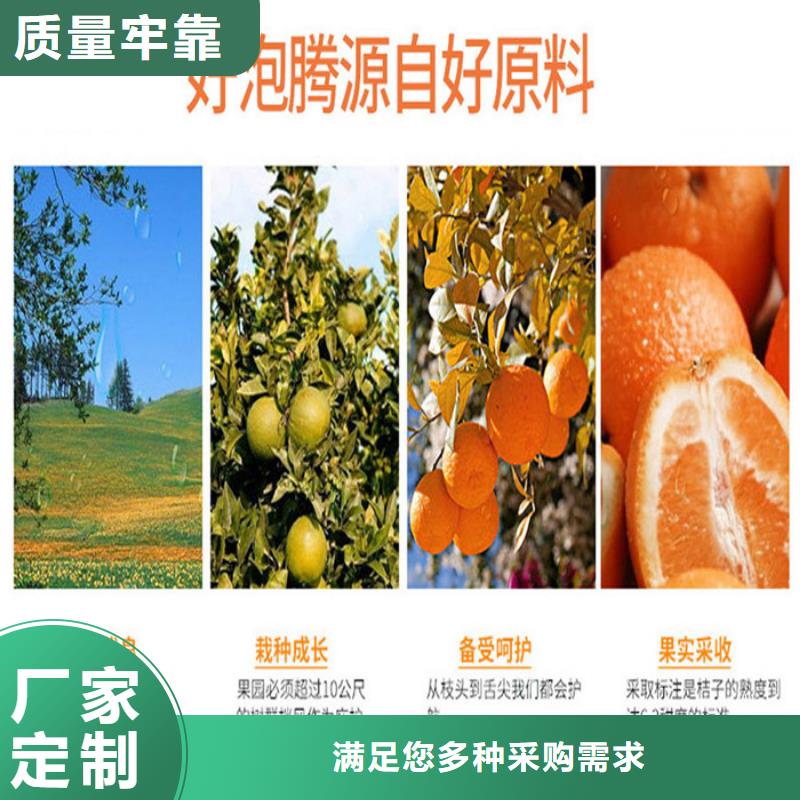 加盟代理厂家报价