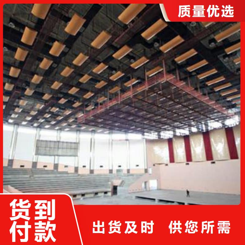 广东省佛山市杨和镇羽毛球馆体育馆吸音改造价格--2024最近方案/价格