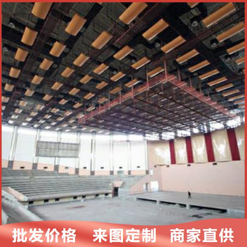 大型体育馆声学改造方案--2024最近方案/价格