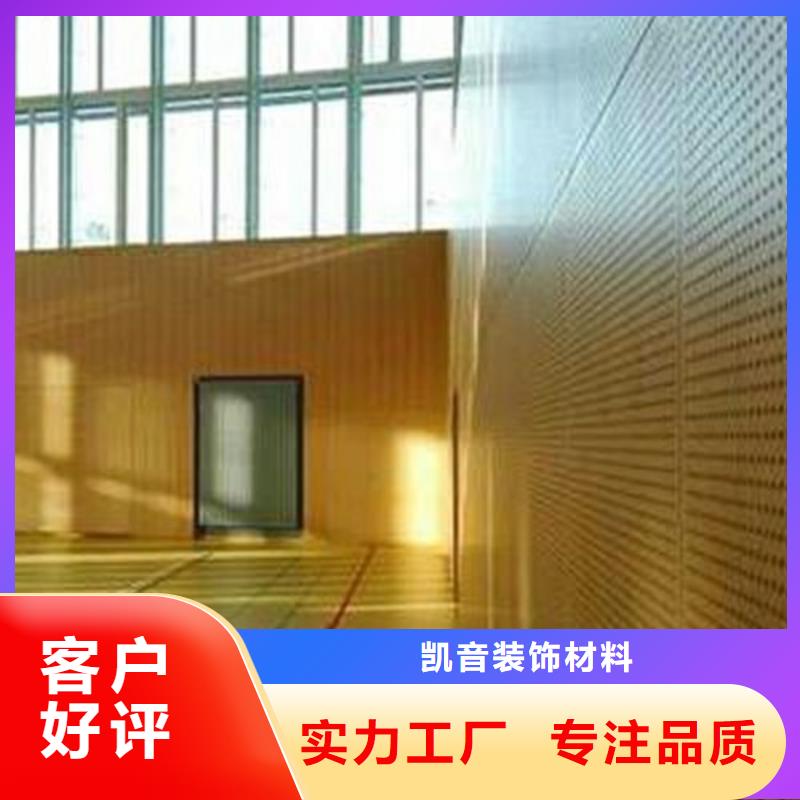 学校体育馆吸音改造公司--2024最近方案/价格