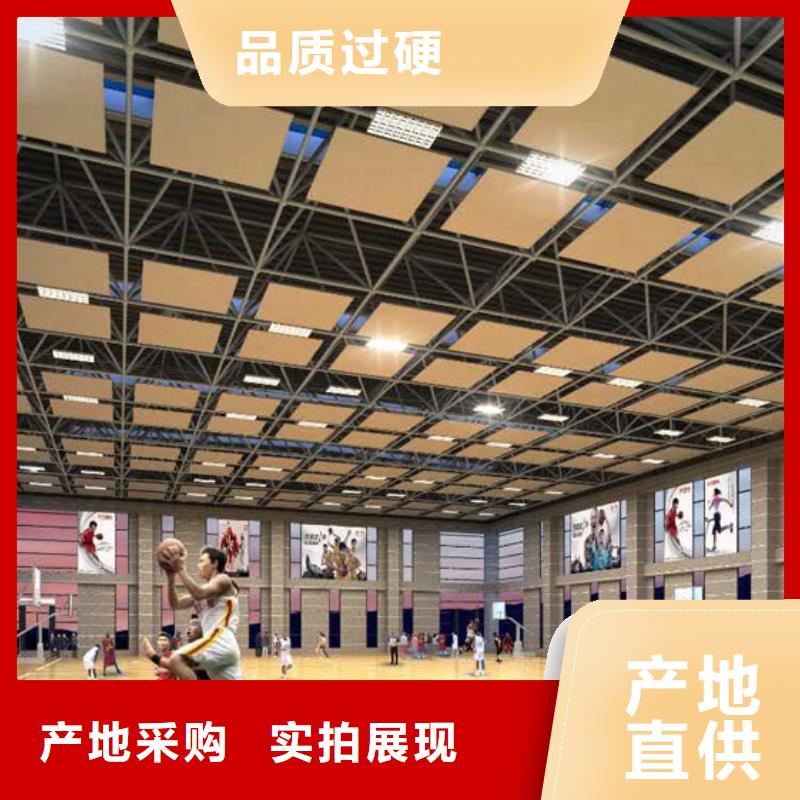 安徽省蚌埠市蚌埠市五河区欢迎来电咨询凯音县比赛体育馆声学改造公司--2024最近方案/价格