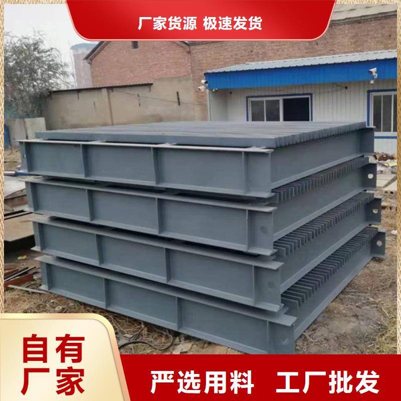 平面滑动钢闸门-用的放心