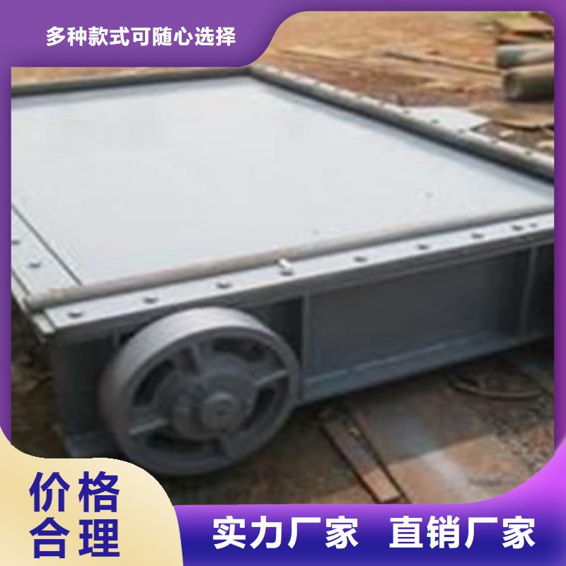鋼壩閘門多少錢