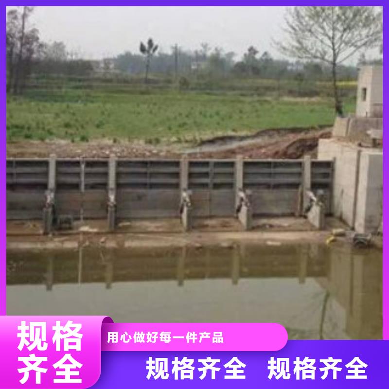 钢坝闸门网上报价清单
