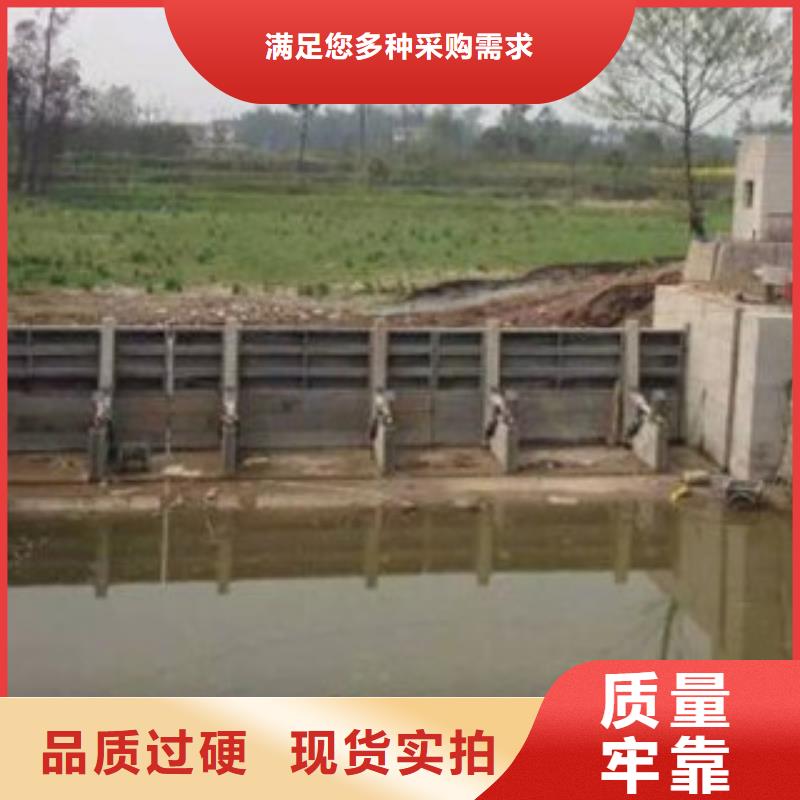 鋼壩閘門多少錢