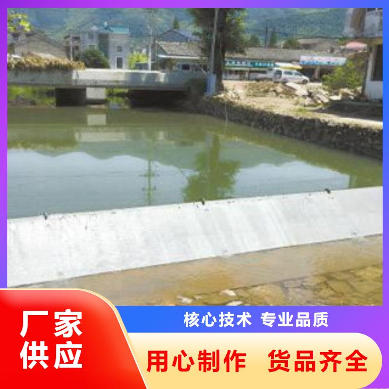 鋼壩閘門廠家直接報價