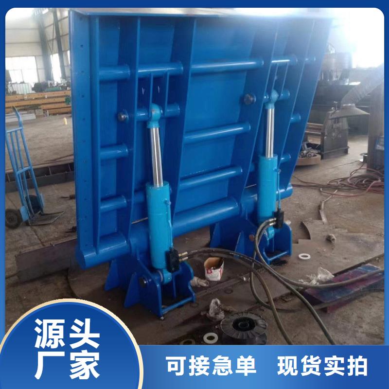 供应钢坝翻板闸门的厂家