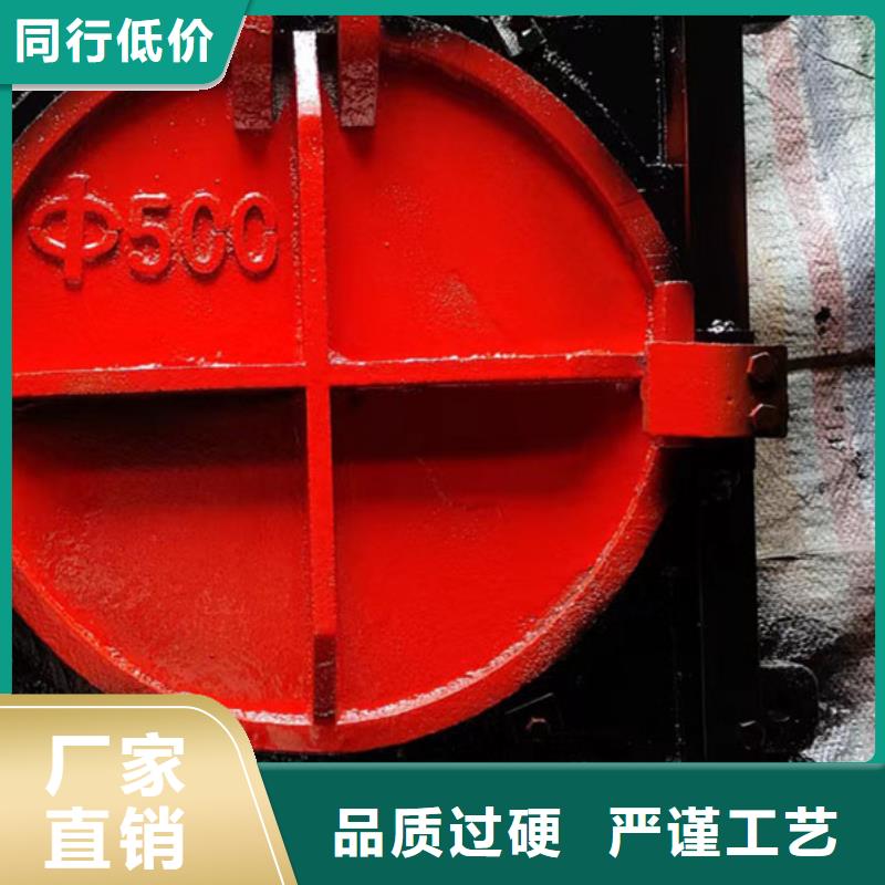 双向镶铜铸铁闸门线条优美