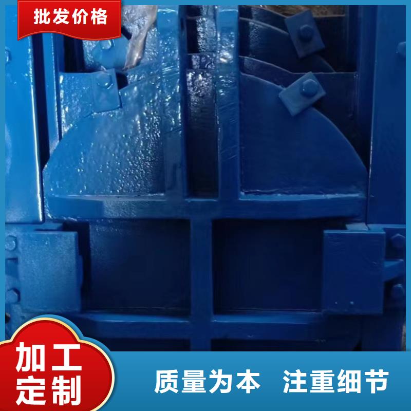 双向镶铜铸铁闸门线条优美