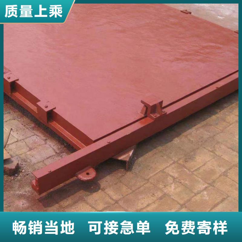 双向镶铜铸铁闸门线条优美
