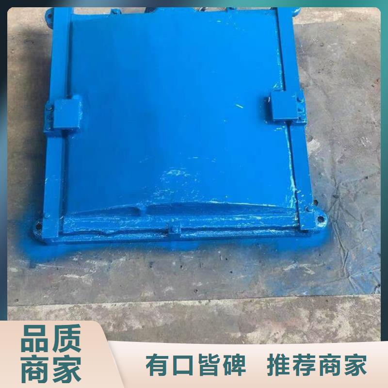 DN600铸铁镶铜圆闸门造型多样