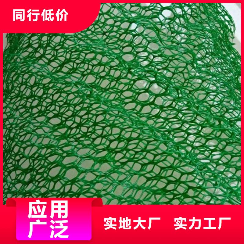 【三维植被网】-沥青木丝板一个起售 金鸿耀工程材料(那曲市分公司)